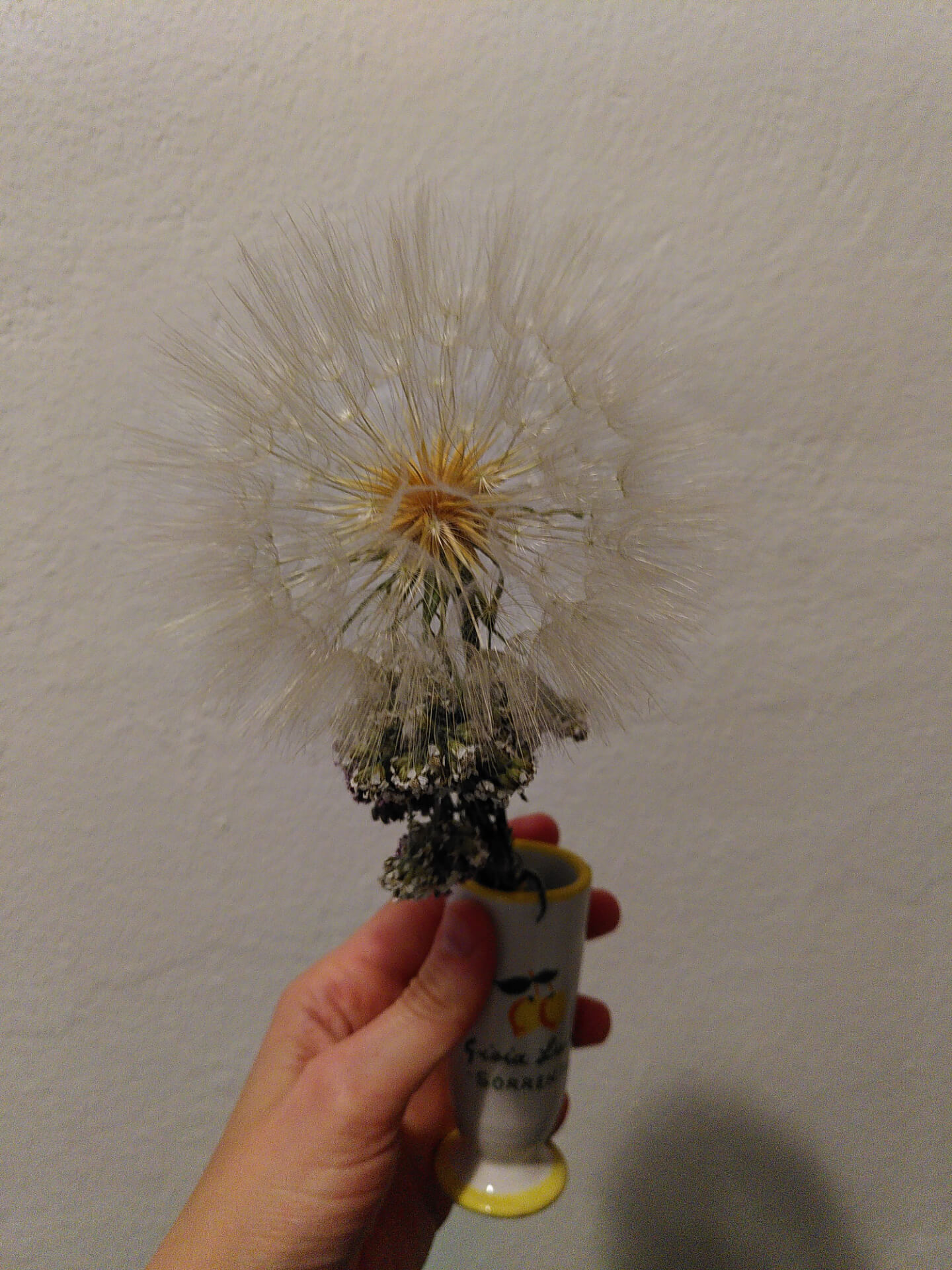 41-magicblume.jpg